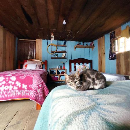 Patricia And Ned'S Cloud Forest Farm Cotacachi Bagian luar foto