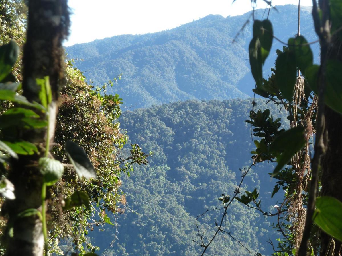 Patricia And Ned'S Cloud Forest Farm Cotacachi Bagian luar foto