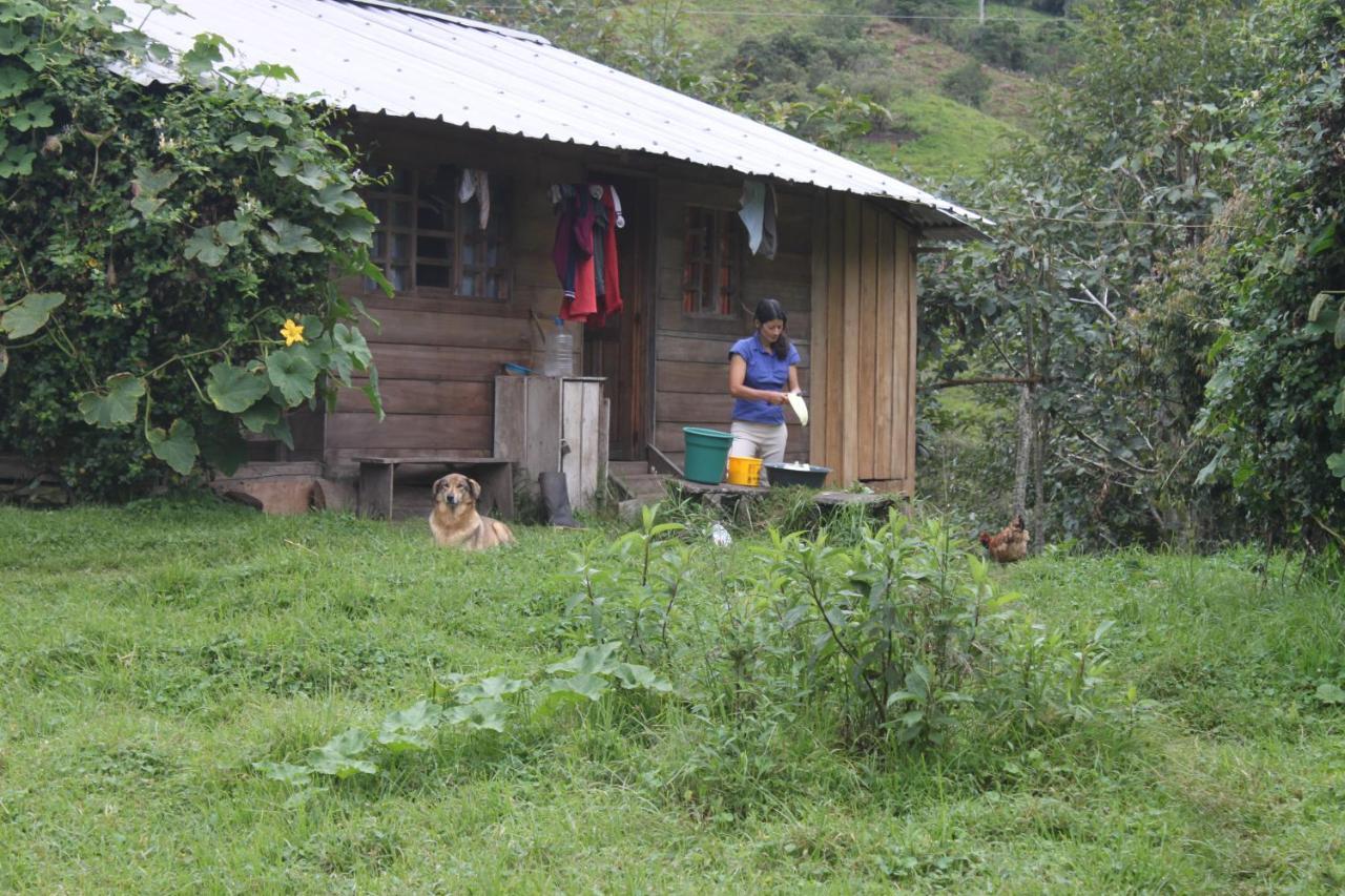 Patricia And Ned'S Cloud Forest Farm Cotacachi Bagian luar foto