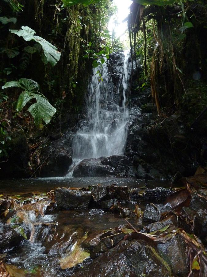Patricia And Ned'S Cloud Forest Farm Cotacachi Bagian luar foto