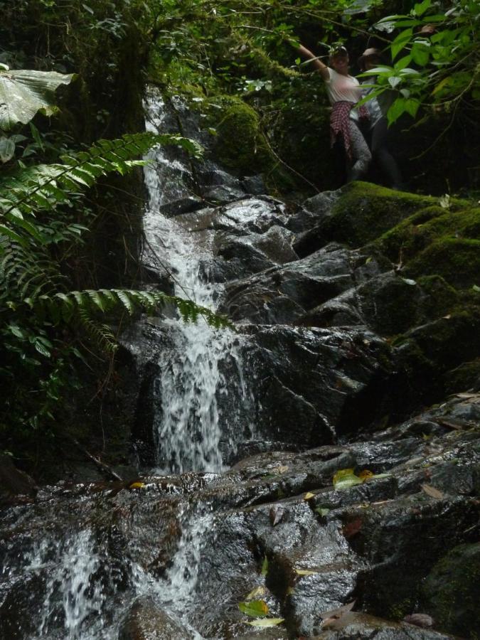 Patricia And Ned'S Cloud Forest Farm Cotacachi Bagian luar foto