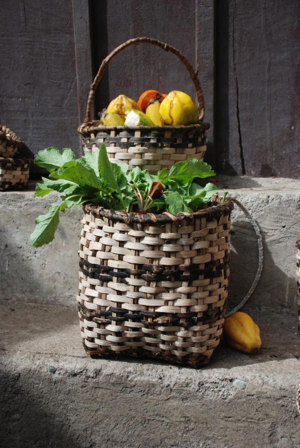 Patricia And Ned'S Cloud Forest Farm Cotacachi Bagian luar foto
