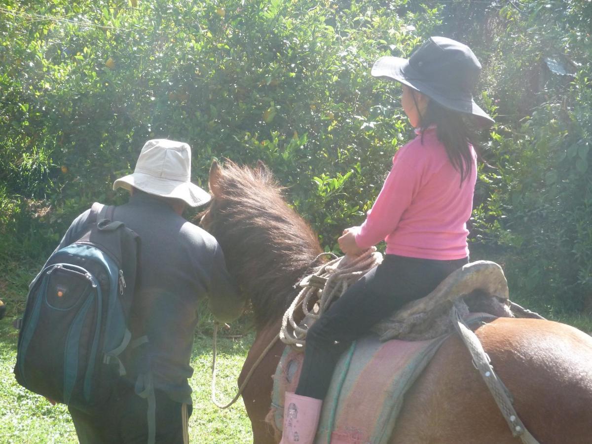 Patricia And Ned'S Cloud Forest Farm Cotacachi Bagian luar foto