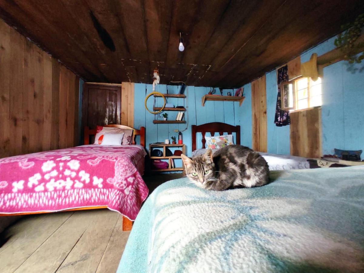 Patricia And Ned'S Cloud Forest Farm Cotacachi Bagian luar foto
