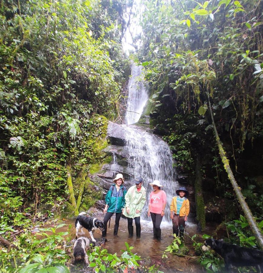 Patricia And Ned'S Cloud Forest Farm Cotacachi Bagian luar foto